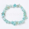 Natural Amazonite Stretch Bracelets BJEW-JB03681-06-7