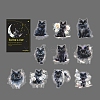 Cat 20Pcs PET Self-Adhesive Stickers PW-WGBC142-05-1