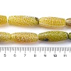 Natural Weathered Agate Beads Strands G-P570-C04-01-4