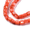 Natural Freshwater Shell Beads Strands X-SHEL-N003-33-A06-3