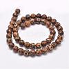 Tibetan Style 3-Eye dZi Beads Strands G-P229-A-03-10mm-2