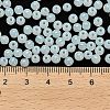 Imitation Jade Glass Seed Beads SEED-C001-02D-01-4