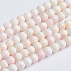 Natural Pink Shell Beads Strands SSHEL-L016-18A-1