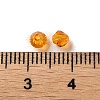 Transparent Glass Beads GGLA-Z004-05G-3