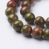 Natural Unakite Beads Strands GSR10mmC043-2