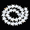 Natural Freshwater Shell Beads Strands LS-SHEL-S278-01D-01-2