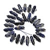 Natural Sodalite Double Terminated Point Beads Strands G-H069-B18-01-3