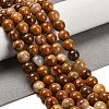 Natural Wood Lace Stone Beads Strands G-B128-A04-03-2