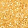 Glass Bugle Beads X1-SEED-B001-03A-03-3