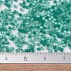 MIYUKI Delica Beads SEED-X0054-DB1813-4