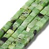 Natural Serpentine Beads Strands G-L585-C01-01-1