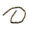 Natural Unakite Beads Strands G-Q1008-B18-2