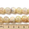 Faceted Natural Fire Crackle Agate Beads Strands G-F447-12mm-H02-5