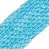 Transparent Glass Beads Strands GLAA-Z018-C23-1