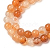 Natural Red Agate Beads Strands G-A248-A06-01-4