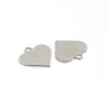 Tarnish Resistant 304 Stainless Steel Charms STAS-D431-27-2