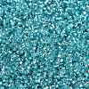 Baking Paint Silver Lined Glass Seed Beads SEED-H003-09H-2