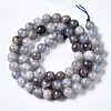Natural Iolite Beads Strands G-N328-50A-01-2