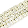 Anti-Tarnish Electroplate Glass Beads Strands GLAA-T025-4mm-10D-1