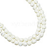  2 Strands Natural Trochid Shell Beads Strands SSHEL-NB0001-36-1