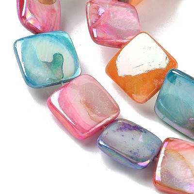 Natural Freshwater Shell Beads Strands SHEL-K006-54-1