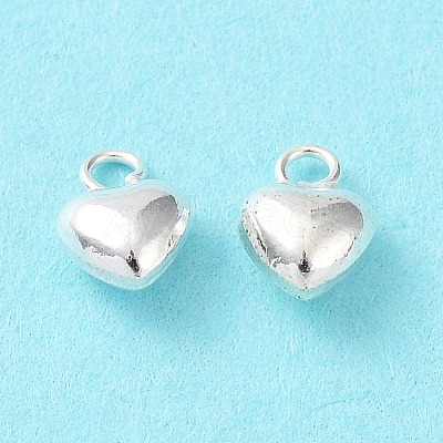 925 Sterling Silver Charms STER-H106-01D-S-1