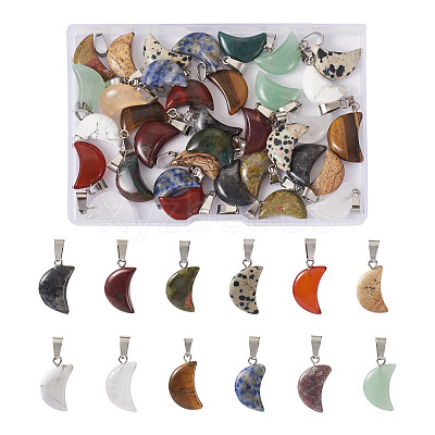 48Pcs 12 Styles Natural Gemstone Pendants G-FW0001-30-1