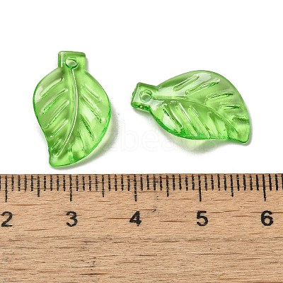 Transparent Acrylic Pendant OACR-E039-69B-1