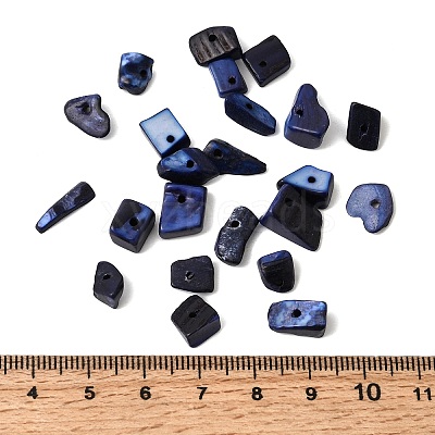Dyed Natural Freshwater Shell Chips Beads SHEL-O001-12C-1