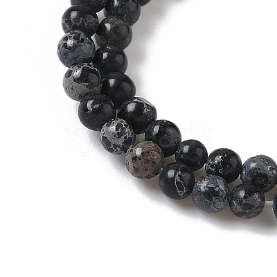 Dyed Natural Regalite/Imperial Jasper/Sea Sediment Jasper Beads Strands G-B124-C05-05-1