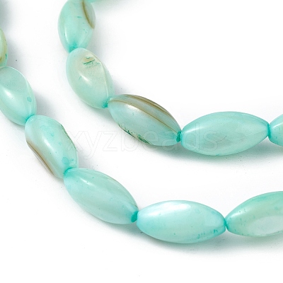 Natural Freshwater Shell Dyed Beads Strands SHEL-M018-13-02-1
