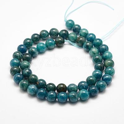 Natural Apatite Beads Strands G-F475-06-8mm-1