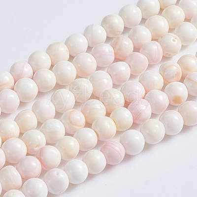 Natural Pink Shell Beads Strands SSHEL-L016-18A-1