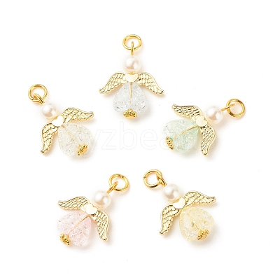 Transparent Acrylic Pendants PALLOY-JF01561-1