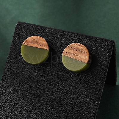 Opaque Resin & Walnut Wood Stud Earrings X-EJEW-N017-008-B08-1
