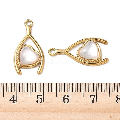 Natural Freshwater Shell Pendants STAS-G397-13G-01-1