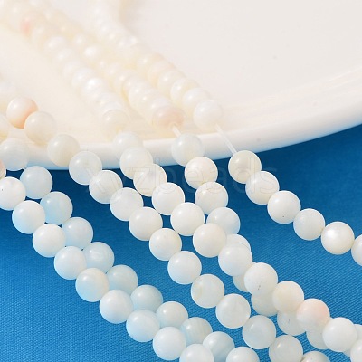 Natural Shell Beads Strands PRS001Y-1