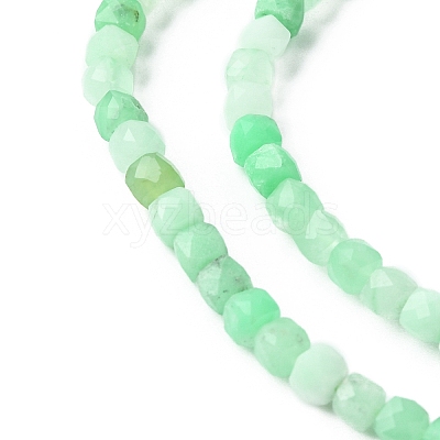 Natural Chrysoprase Beads Strands G-F748-F01-01B-1