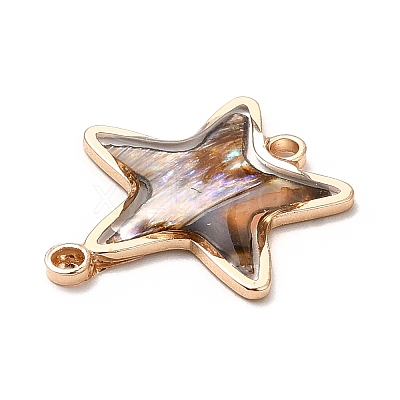 Rack Plating Brass Enamel Connector Charms KK-K252-11G-02-1