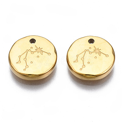 316 Surgical Stainless Steel Charms LS-STAS-S116-418F-G-1