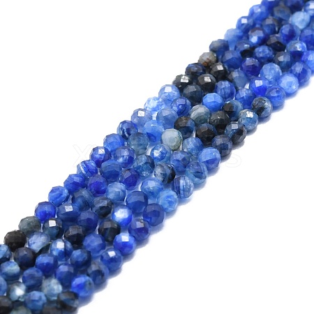 Natural Kyanite Beads Strands G-P457-A02-20-1