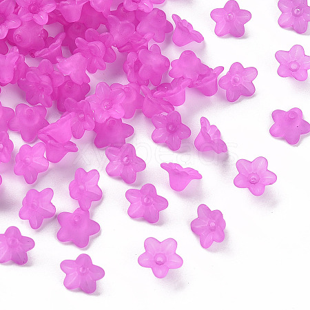 Transparent Acrylic Beads LS-X-PL554-17-1