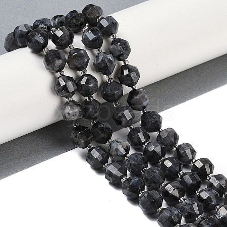 Natural Larvikite Beads Strands G-O201B-139G-1