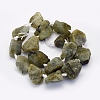 Natural Labradorite Beads Strands G-G697-E08-2