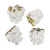 4Pcs Handmade Lampwork Beads LAMP-TA0002-24D-3