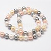 Shell Pearl Bead Strands LS-BSHE-L017-17-4