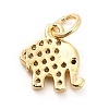 Rack Plating Brass Micro Pave Cubic Zirconia Charms KK-K270-17G-2