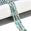 Natural Amazonite Beads Strands G-P497-01B-18-2