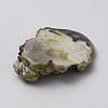 Mini Resin Display Decorations FIND-WH20019-71F-2