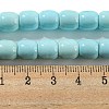 Natural Howlite Beads Strands G-L603-A01-01-5